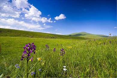 planina Zlatibor 